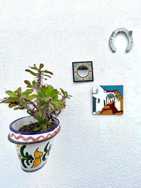 Gatu Premium Villa Patio Andaluz El Puerto de Santa María Esterno foto